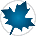 Maple