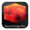 Sound Forge